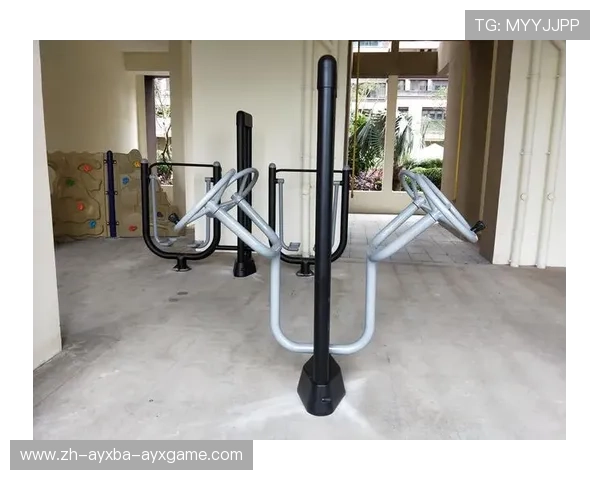 公园健身器材练胸肌的实用器材推荐