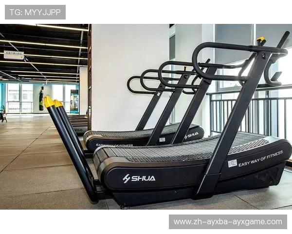 高效能人士标配:办公室微健身器材组合方案 高效能人士标配:办公室微健身器材组合方案